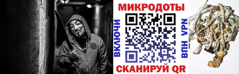 продажа наркотиков  Буинск  OMG вход  Галлюциногенные грибы Magic Shrooms 